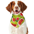 Lime Green Watermelon Pattern Print Dog Bandana