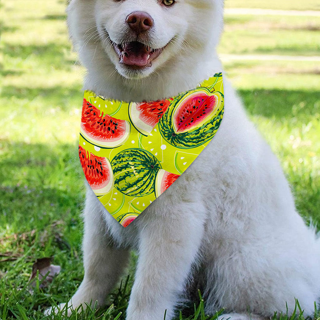 Lime Green Watermelon Pattern Print Over The Collar Dog Bandana