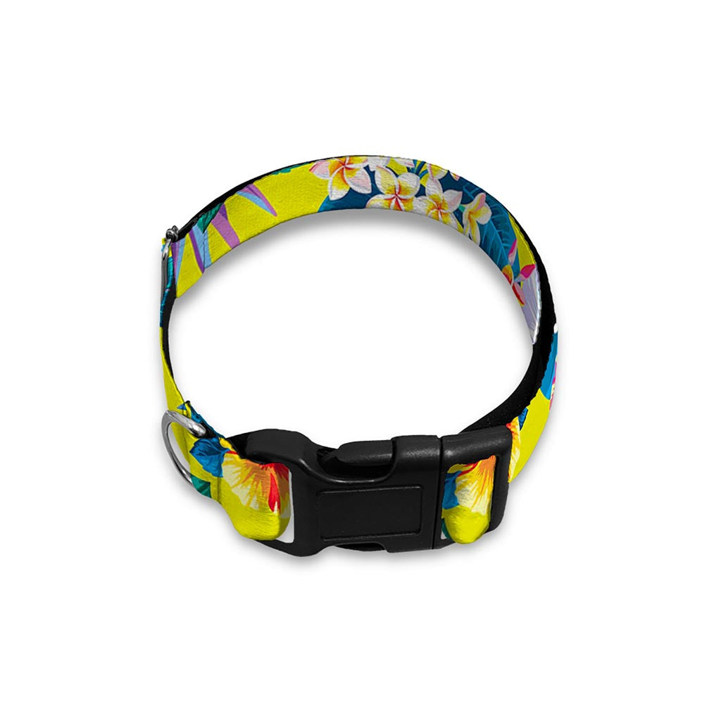Lime Hawaiian Pineapple Pattern Print Dog Collar