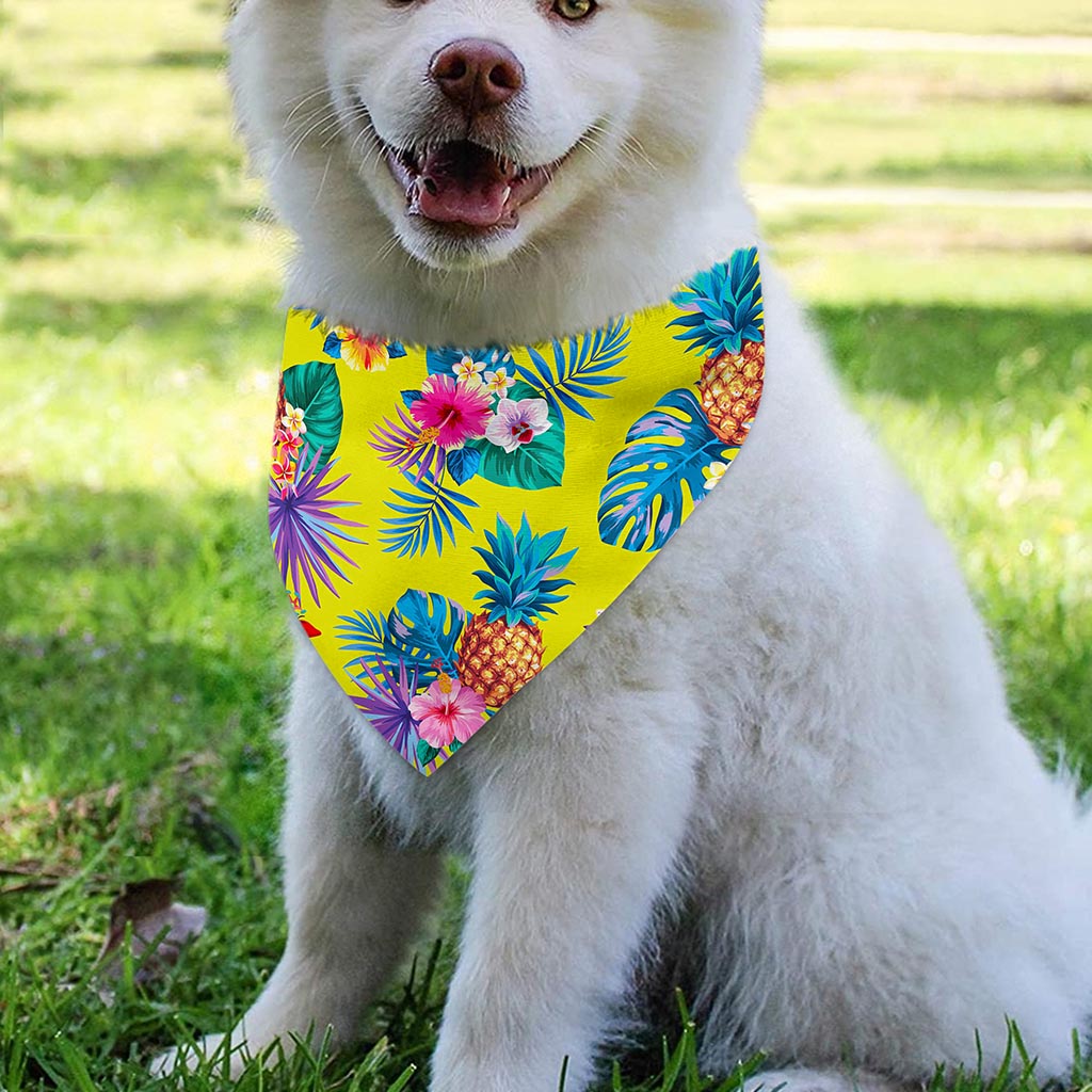Lime Hawaiian Pineapple Pattern Print Over The Collar Dog Bandana