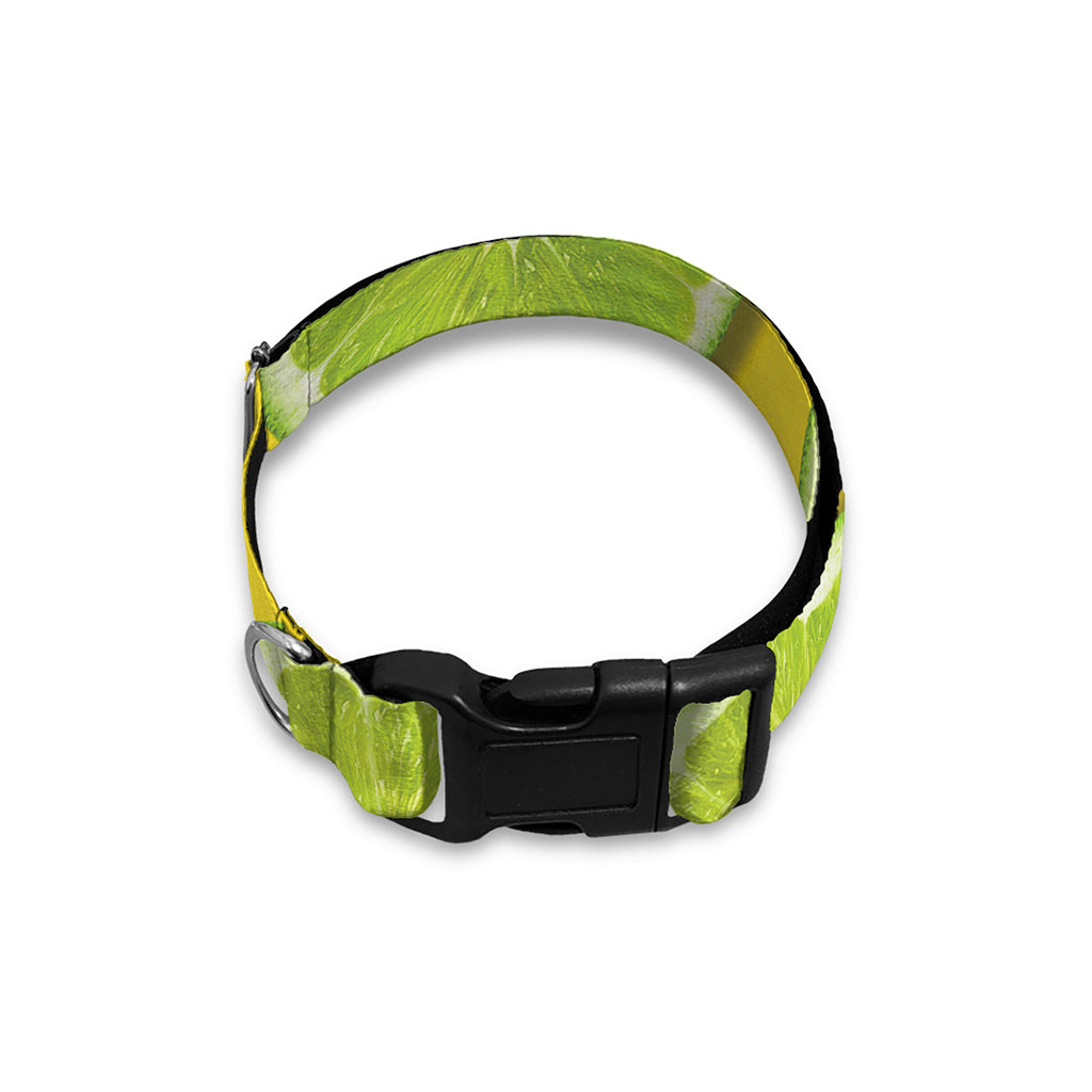 Lime Slices Pattern Print Dog Collar