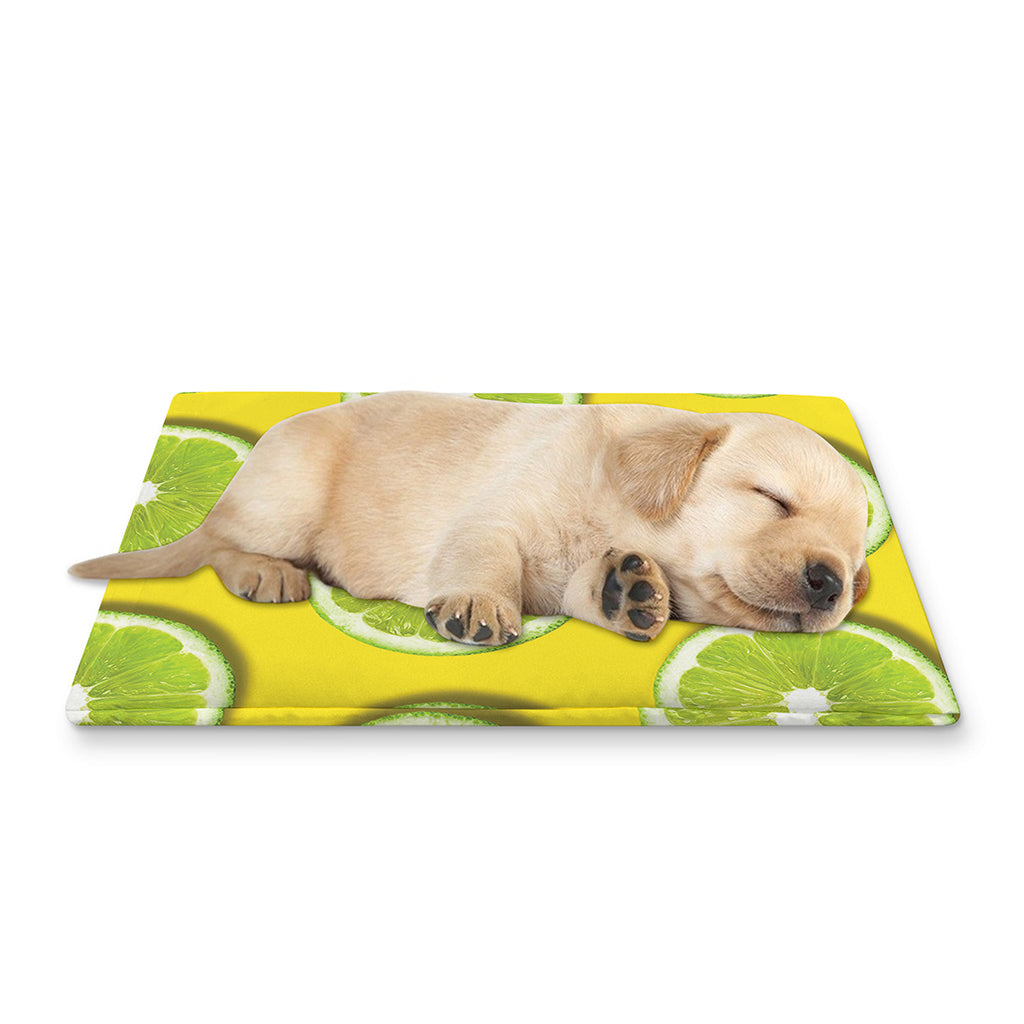Lime Slices Pattern Print Pet Cooling Mat Cover