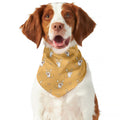 Little Corgi Pattern Print Dog Bandana