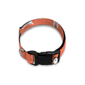 Little Jack Russell Terrier Print Dog Collar