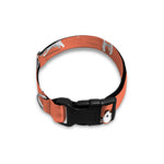 Little Jack Russell Terrier Print Dog Collar