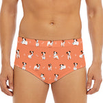 Little Jack Russell Terrier Print Men's Triangle Swim Briefs