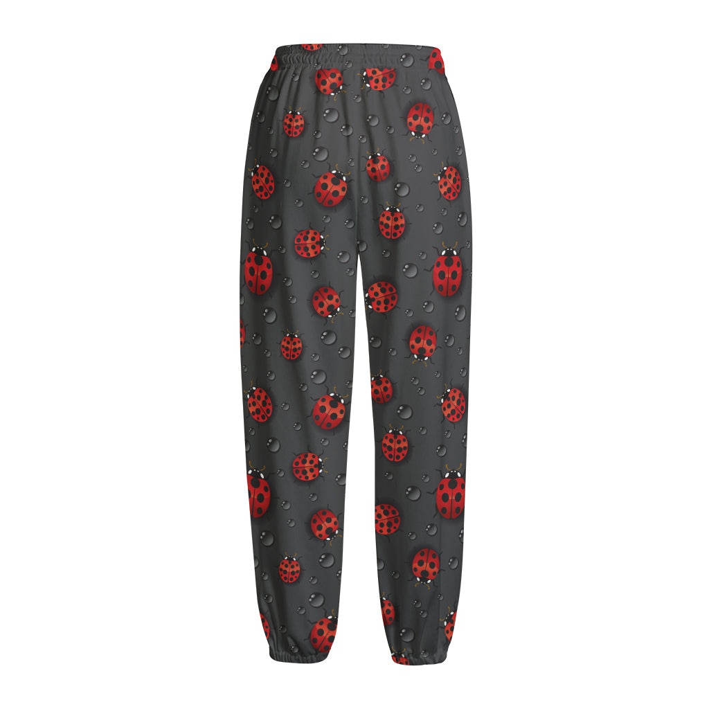 Little Ladybird Pattern Print Fleece Lined Knit Pants
