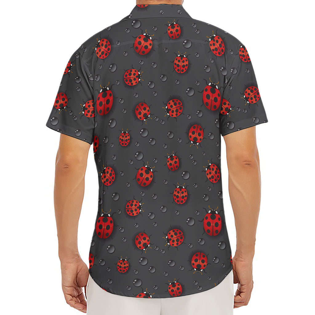 Little Ladybird Pattern Print Men's Deep V-Neck Shirt