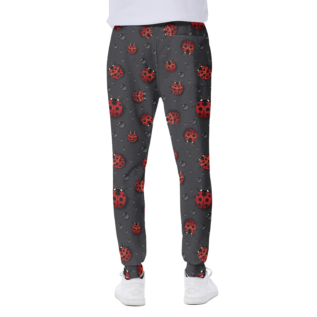 Little Ladybird Pattern Print Scuba Joggers