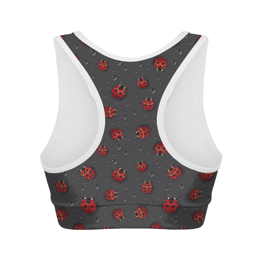 Little Ladybird Pattern Print Women's Sports Bra