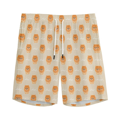 Little Pomeranian Pattern Print Men's Sports Shorts