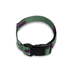 Little Purple Eggplant Pattern Print Dog Collar