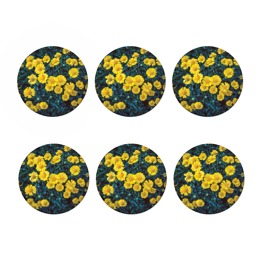 Little Yellow Daisy Print Coaster Set