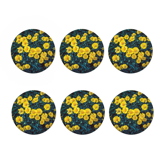 Little Yellow Daisy Print Coaster Set