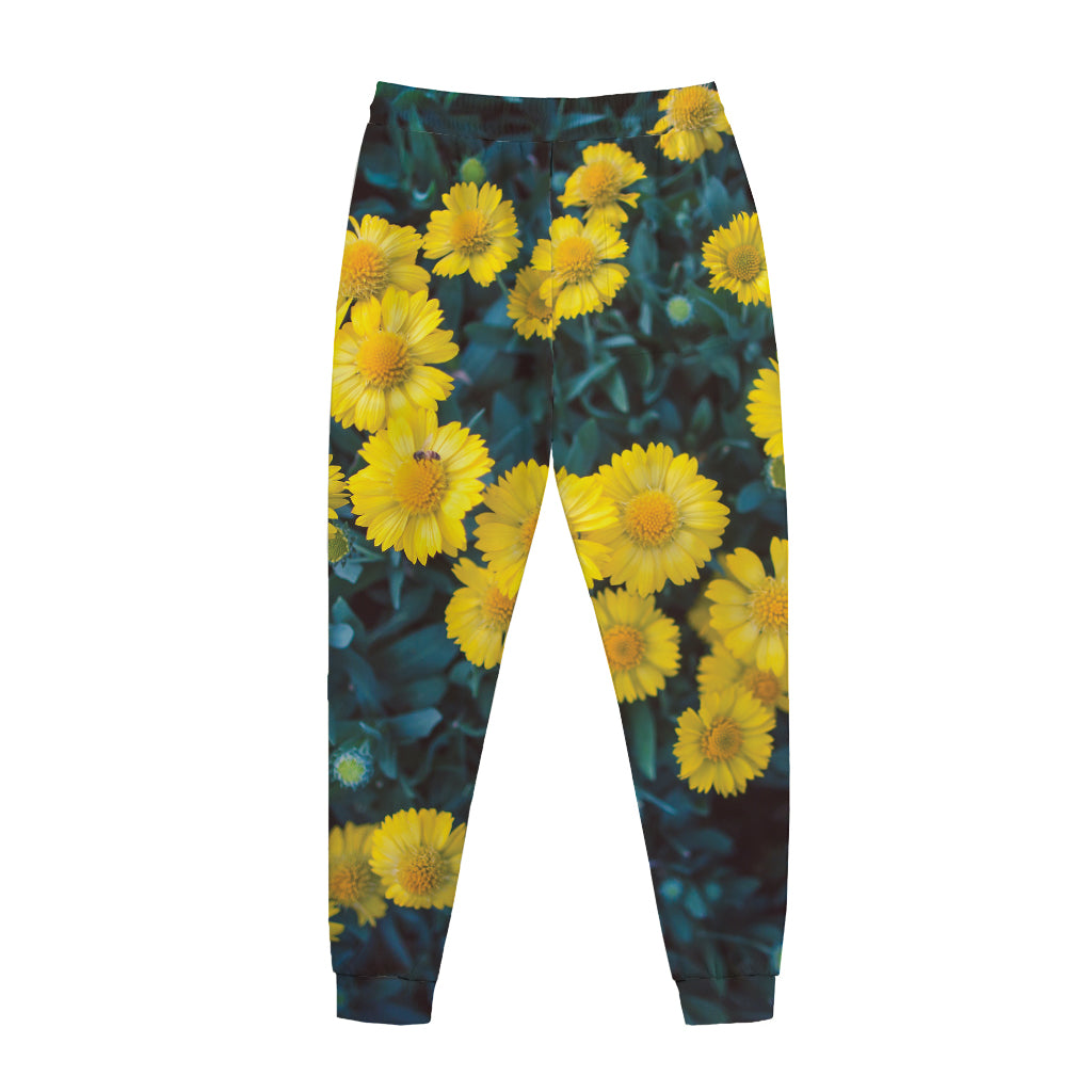 Little Yellow Daisy Print Jogger Pants