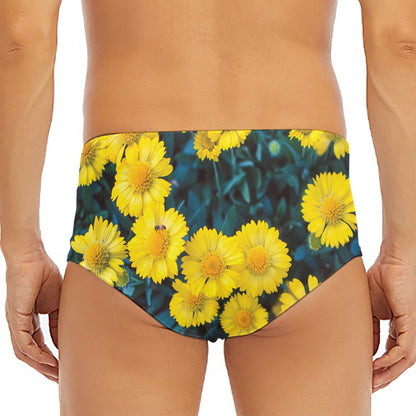 Little Yellow Daisy Print Men's Triangle Swim Briefs