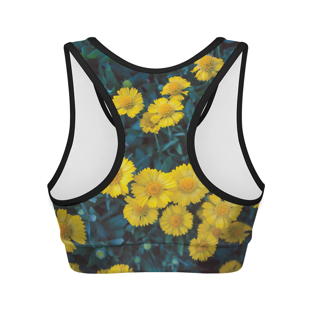 Little Yellow Daisy Print Women's Sports Bra