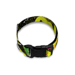 Love NYC Graffiti Print Dog Collar