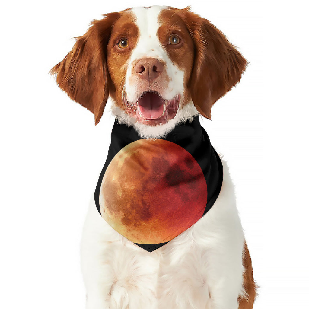 Lunar Eclipse Cycle Print Dog Bandana