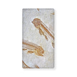 Lycoptera Fish Fossil Print Baby Crib Sheet