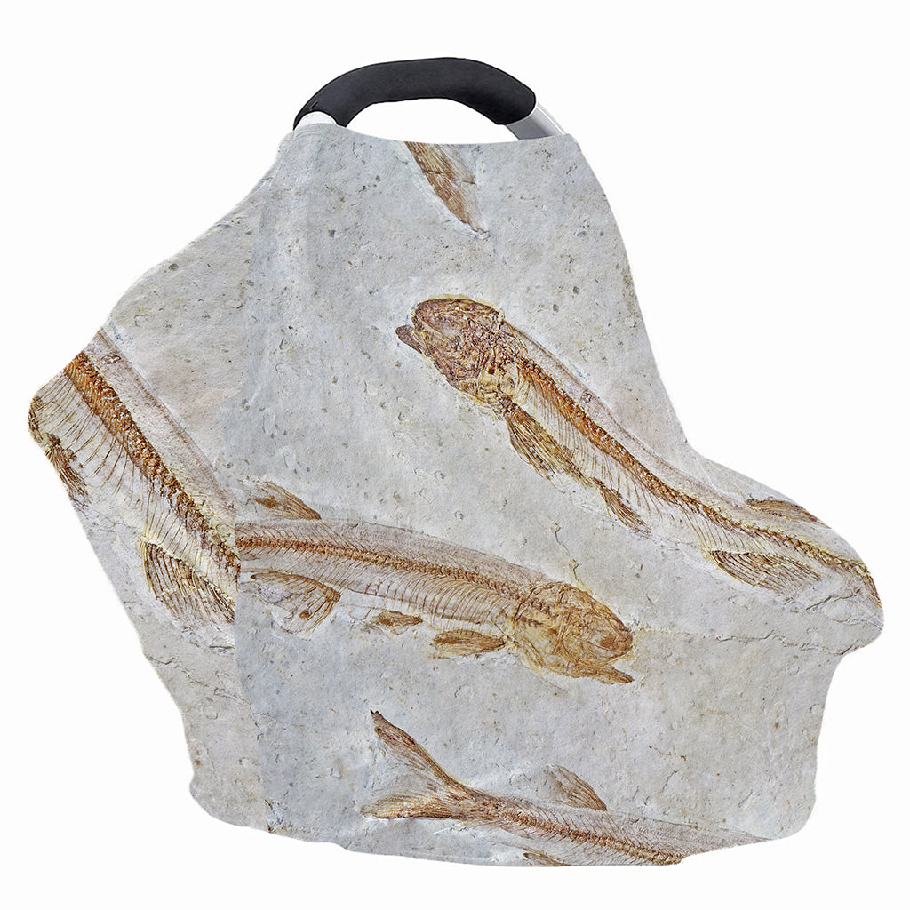Lycoptera Fish Fossil Print Baby Seat Cover