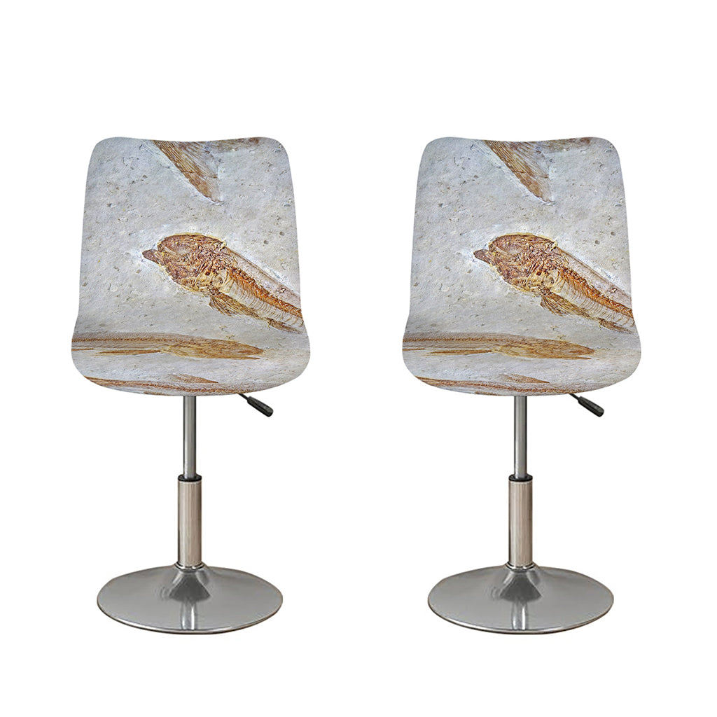 Lycoptera Fish Fossil Print Bar Stool Covers