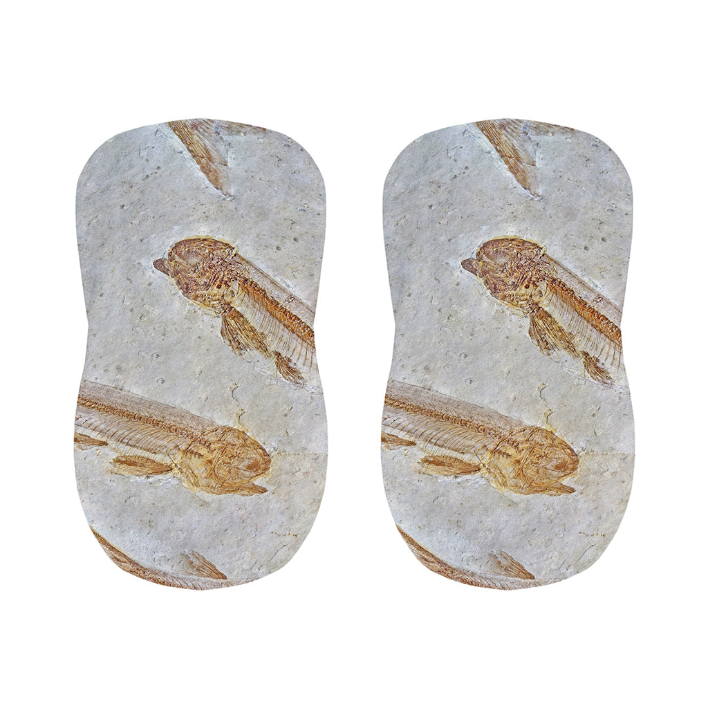 Lycoptera Fish Fossil Print Bar Stool Covers