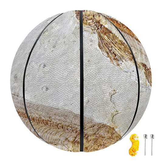Lycoptera Fish Fossil Print Basketball