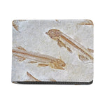 Lycoptera Fish Fossil Print Bifold Wallet
