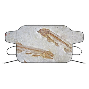 Lycoptera Fish Fossil Print Car Windshield Snow Cover