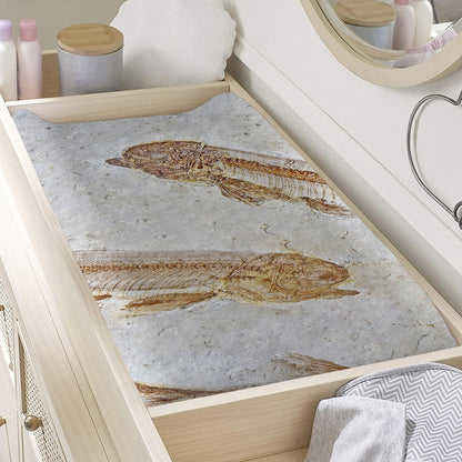 Lycoptera Fish Fossil Print Changing Pad Cover