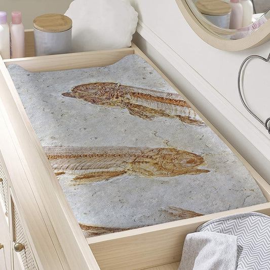 Lycoptera Fish Fossil Print Changing Pad Cover