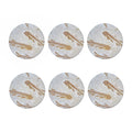 Lycoptera Fish Fossil Print Coaster Set