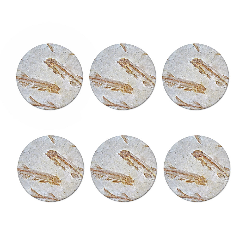 Lycoptera Fish Fossil Print Coaster Set