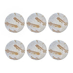Lycoptera Fish Fossil Print Coaster Set