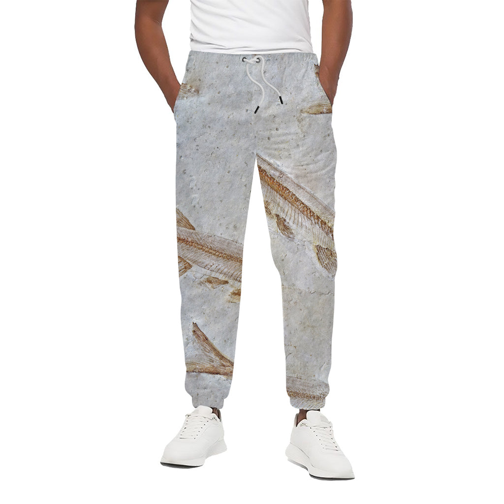 Lycoptera Fish Fossil Print Cotton Pants