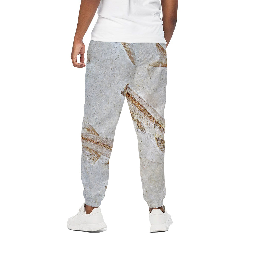 Lycoptera Fish Fossil Print Cotton Pants