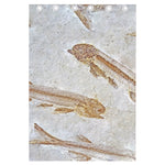 Lycoptera Fish Fossil Print Curtain