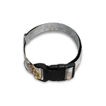 Lycoptera Fish Fossil Print Dog Collar