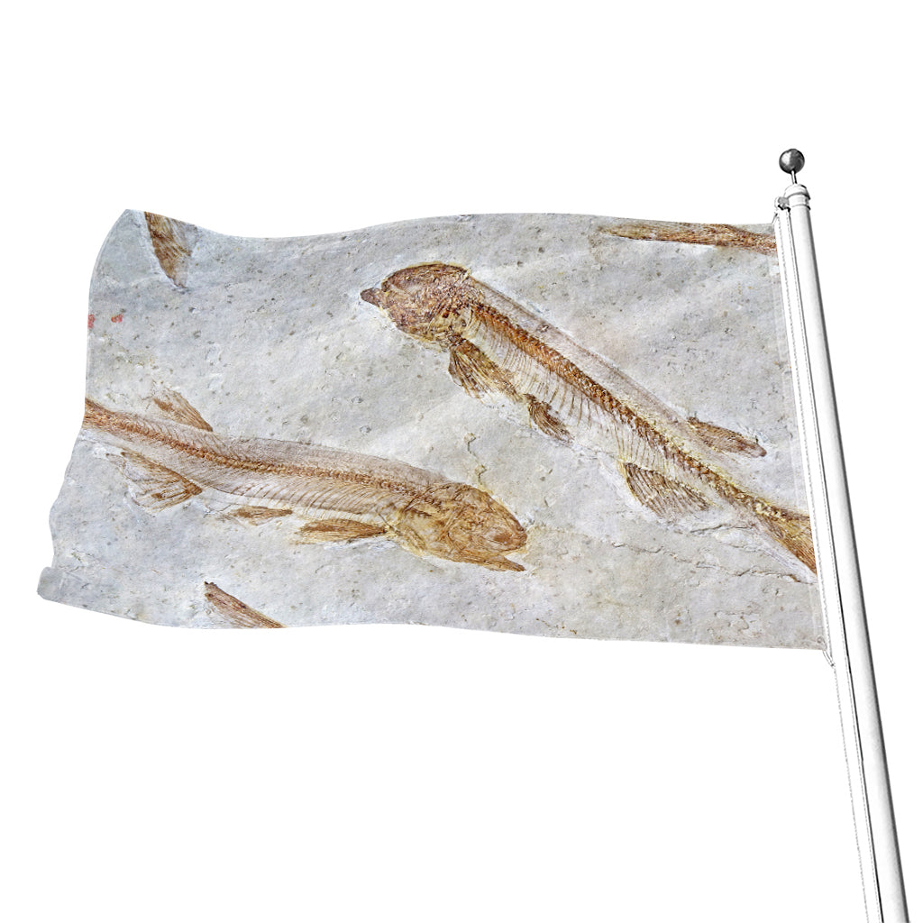 Lycoptera Fish Fossil Print Flag