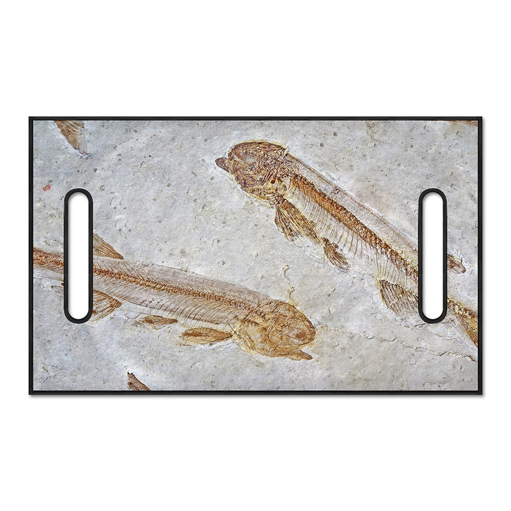 Lycoptera Fish Fossil Print Golf Cart Seat Cover