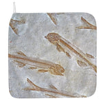 Lycoptera Fish Fossil Print Hand Towel