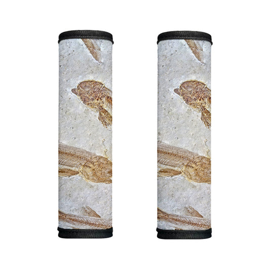 Lycoptera Fish Fossil Print Handle Covers