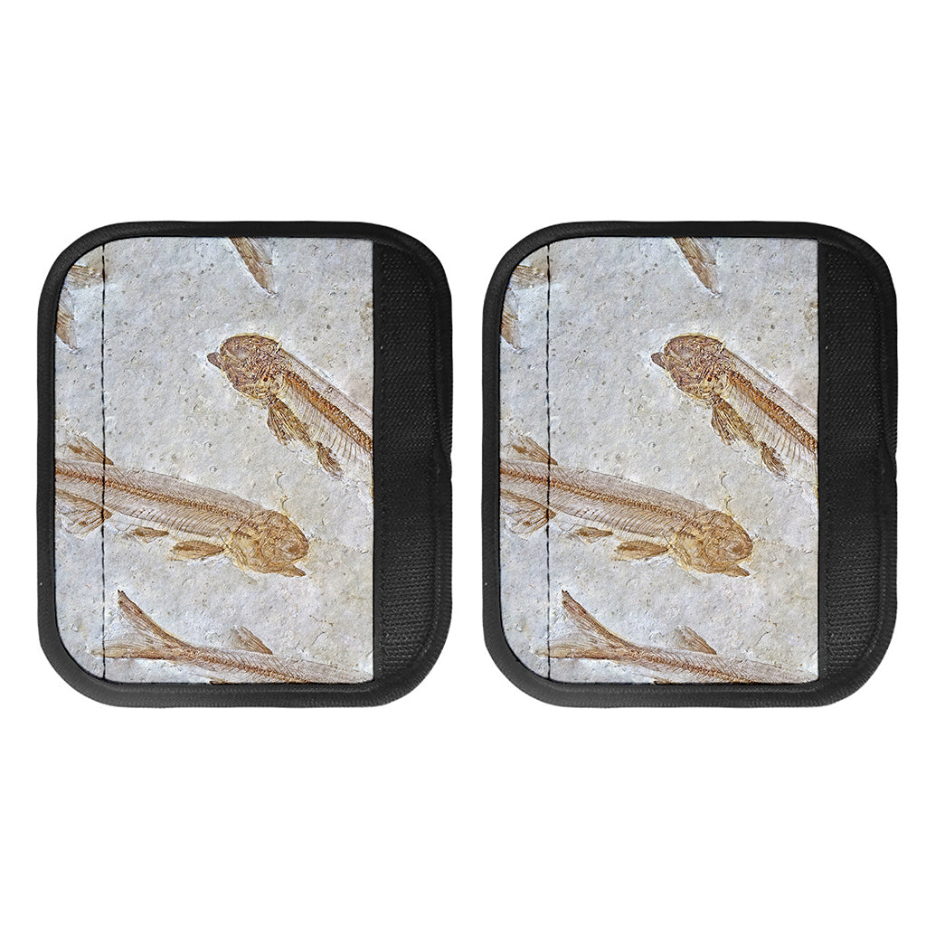 Lycoptera Fish Fossil Print Handle Covers