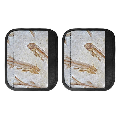 Lycoptera Fish Fossil Print Handle Covers