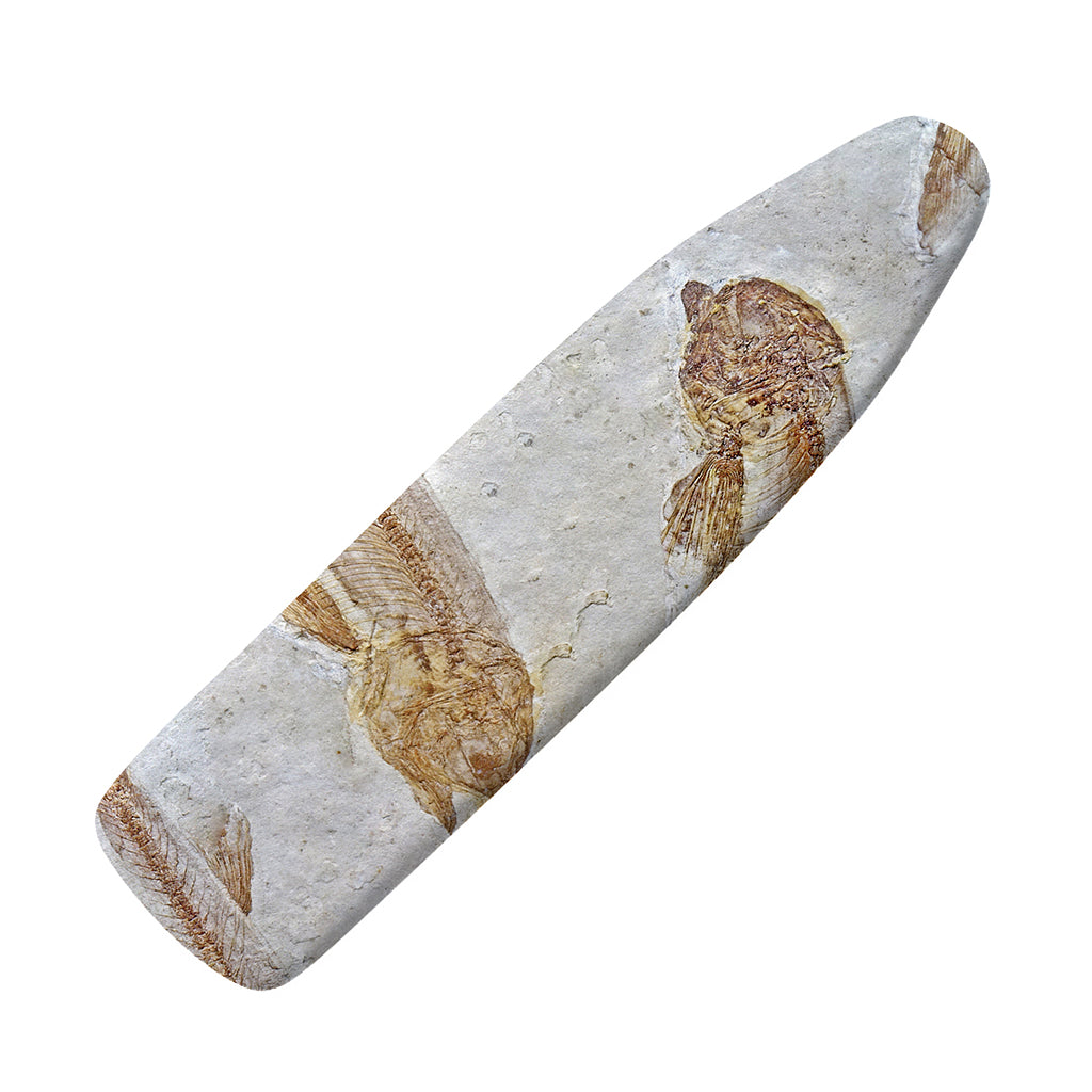 Lycoptera Fish Fossil Print Ironing Board Cover