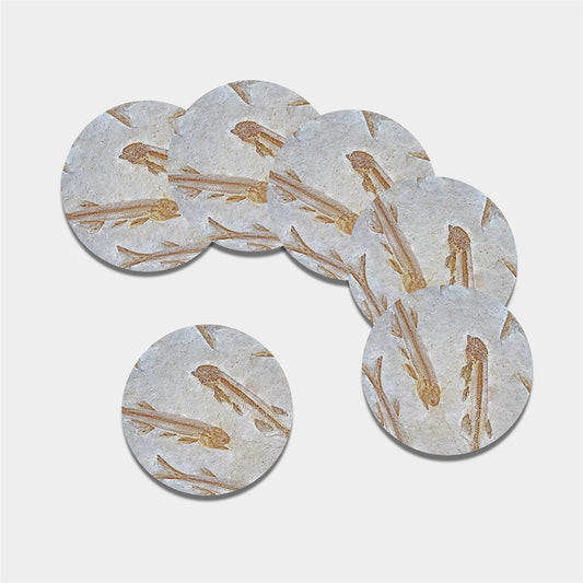 Lycoptera Fish Fossil Print Leather Coaster Set