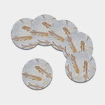Lycoptera Fish Fossil Print Leather Coaster Set