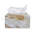 Lycoptera Fish Fossil Print Leather Tissue Box Cover