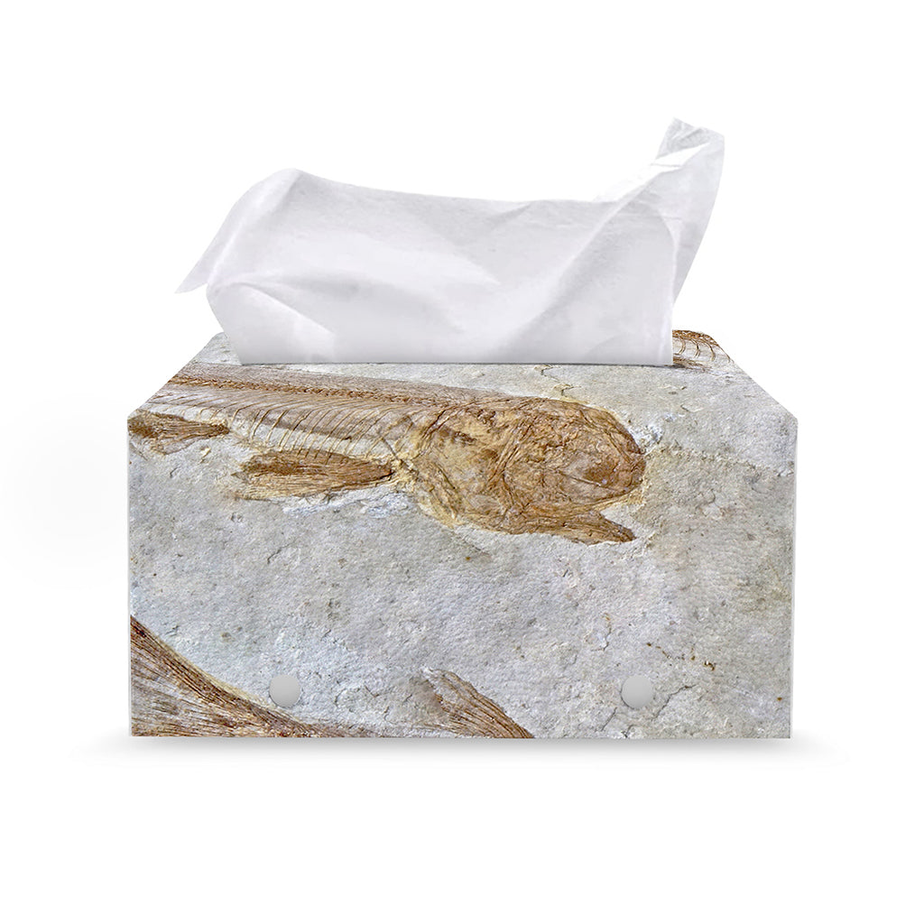 Lycoptera Fish Fossil Print Leather Tissue Box Cover